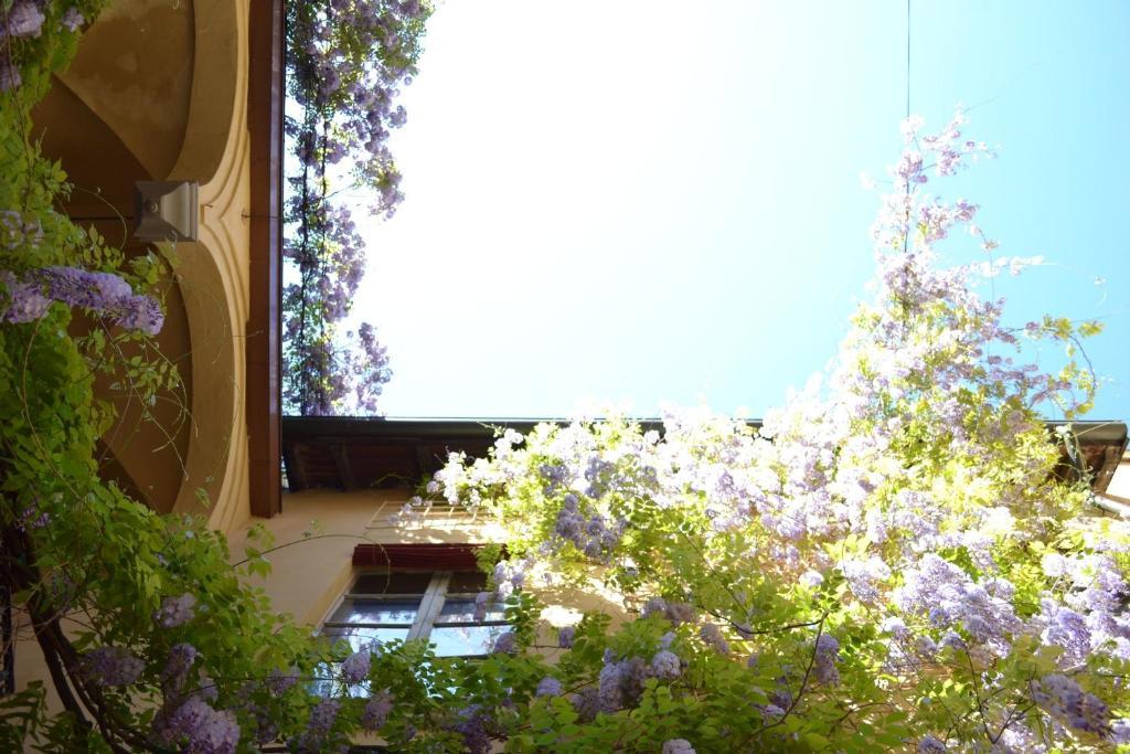 Aparthotel Palazzo Dalla Rosa Prati Parma Exteriér fotografie